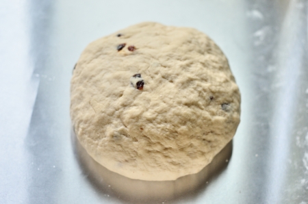 Homemade raisin bread doughの写真素材