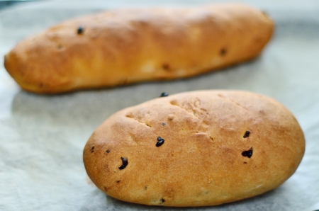 Homemade raisin bread in trayの写真素材