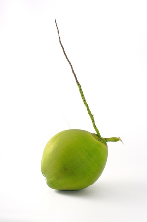 Coconut isolated on white backgroundの写真素材