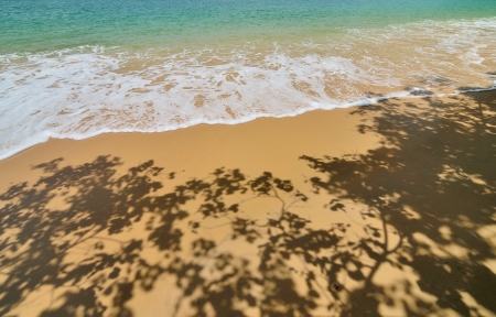 Nice beach with sea foam backgroundの写真素材
