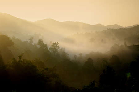 Hill Landscape with fog in morning, Thailandの写真素材