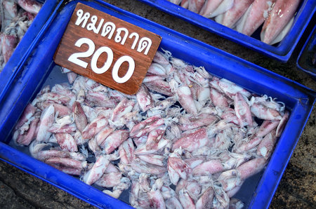 Squid in plastic tray at fish market, Thailandのeditorial素材