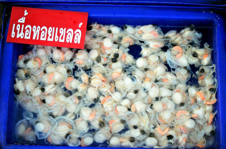 Raw Scallops in fish market at Chonburi, Thailandのeditorial素材