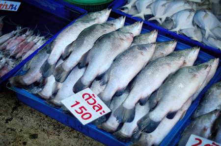 Fresh fish in plastic tray at fish market, Thailandのeditorial素材