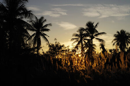 Tropical sunset in countryside of Thailandの写真素材