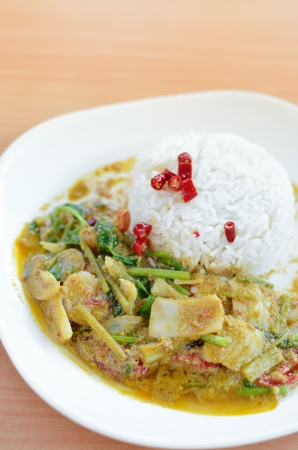 Thai curry with rice, Thai foodの写真素材