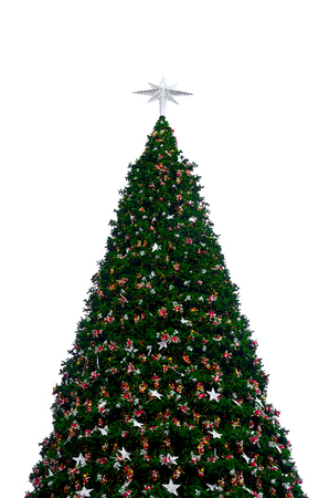 Christmas tree isolated on white backgroundの写真素材