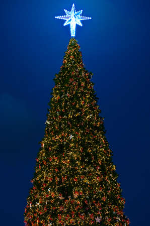 Christmas tree with lighting and ornamentの写真素材