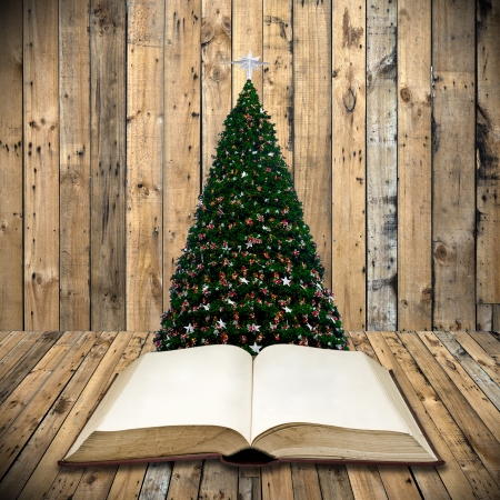 Read bible in christmas dayの写真素材