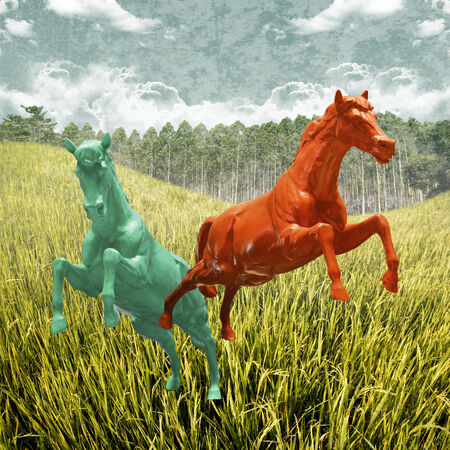 Horse running in rice fieldの写真素材