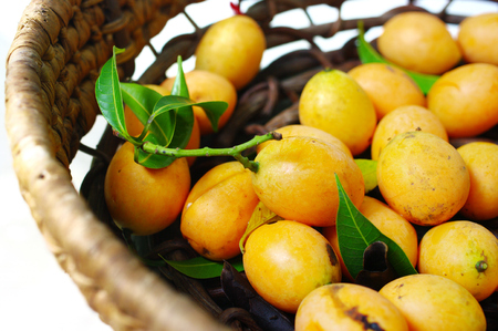 Exotic Thai Fruit, Marian plum の写真素材
