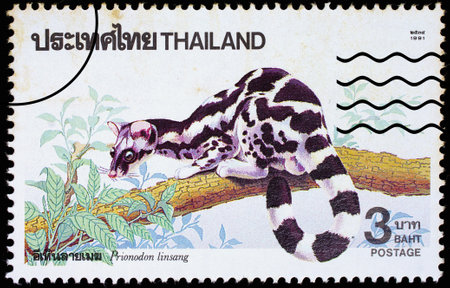 THAILAND - CIRCA 1991 : A stamp printed in Thailand shows image of Prionodon linsang or Banded...