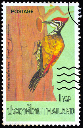 THAILAND - CIRCA 1976 : A stamp printed in Thailand shows image of Dinopium javanense (Common Goldenback), circa 1976 のeditorial素材