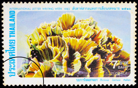 THAILAND - CIRCA 1983: A stamp printed in Thailand shows image of Pectinia lactuca (Pallas), To commemorate International Letter Writing Week, circa 1983のeditorial素材