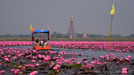 UDONTHANI, THAILAND - JANUARY 31,Tourist boat travel for see pink lotus lake on January 31, 2015 in Nong Han Udonthani, Thailandのeditorial素材