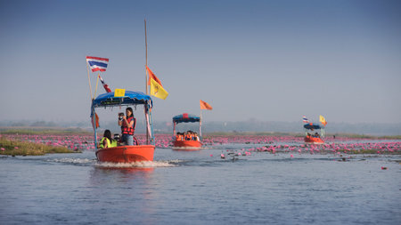 UDONTHANI, THAILAND - JANUARY 31 : Tourist boat travel for see pink lotus lake on January 31, 2015 in Nong Han, Udonthani, Thailandのeditorial素材