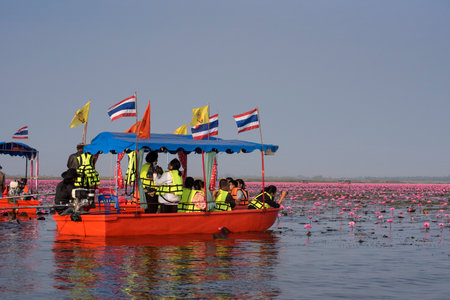 UDONTHANI, THAILAND - JANUARY 31 : Tourist boat travel for see pink lotus lake on January 31, 2015...