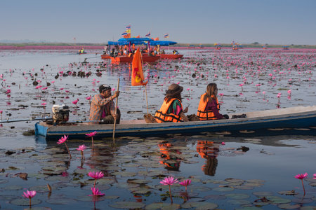UDONTHANI, THAILAND - JANUARY 31 : Tourist boat travel for see pink lotus lake on January 31, 2015 in Nong Han, Udonthani, Thailandのeditorial素材
