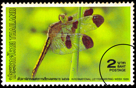 THAILAND - CIRCA 1989 : Painting of Dragonfly printed in Thailand circa 1989, The stamp for commemorate International letter writing week in 1989のeditorial素材