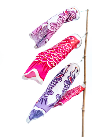 Flag Carp in Japanese styleの写真素材