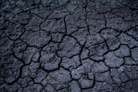Dried land pattern backgroundの写真素材