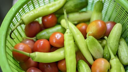 Vegetables basket for cookingの写真素材
