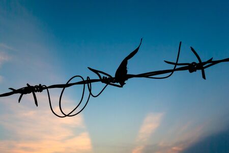 Barbed Wire with sky and sun rayの写真素材