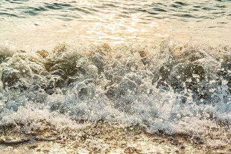 Sea surf with sunset light