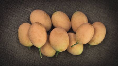 Marian plum on sackcloth backgroundの写真素材