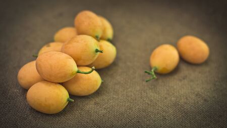 Marian plum on sackcloth backgroundの写真素材