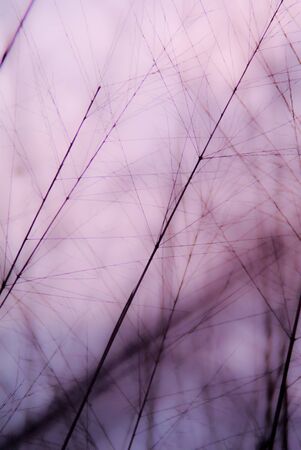Abstract nature background,  Soft and blurred