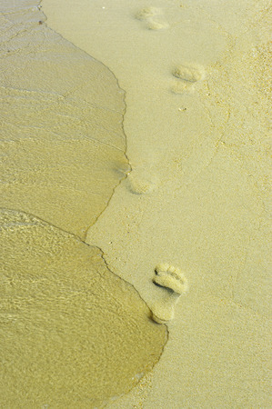 Footprint on the beach with sea surfの写真素材