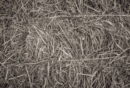 Straw backgroundの写真素材