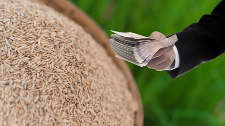 Politician with Rice subsidy scheme conceptの写真素材