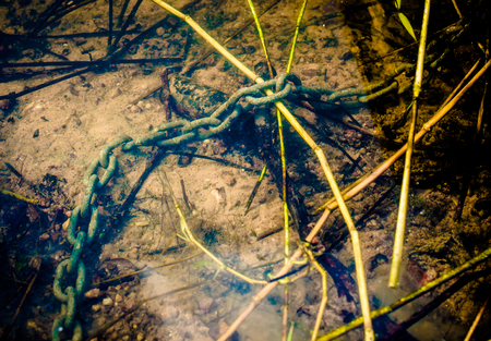 Old chain in waterの写真素材