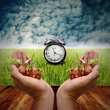 Time to platation, Agriculture conceptの写真素材