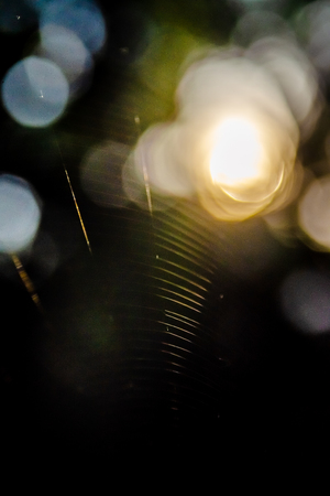 Bokeh light with spider web, Abstract nature backgroundの写真素材