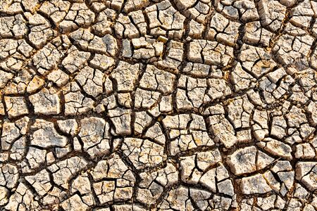 Cracked land background top view, Drought conceptの写真素材