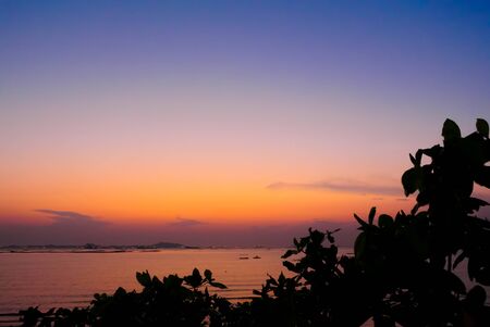 Twilight sky at sea with tree top silhouette foregroundの写真素材