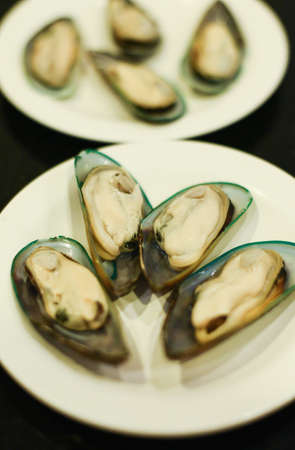 Fresh green mussels for BBQ in white dishの写真素材