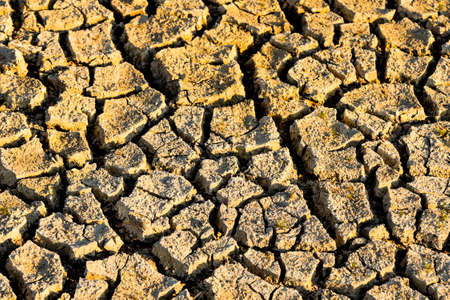 Cracked land background top view, Drought conceptの写真素材