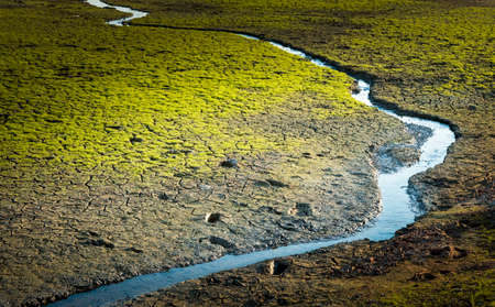 Little stream with cracked landの写真素材