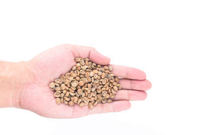 Unroasted coffee seed in hand isolated on white backgroundの写真素材