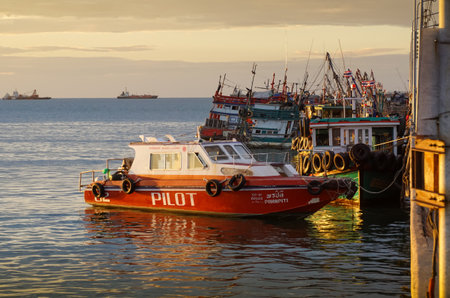 CHONBURI, THAILAND - 1 DEC : Speed boat mooring at port on 1 December 2020 in Sriracha, Chonburi, Thailandのeditorial素材