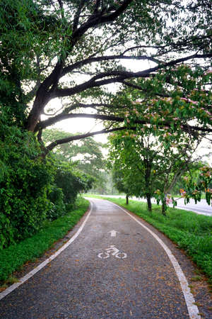 Bike lane symbol on road with green area aroundの写真素材