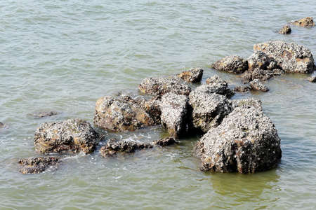 Stone in sea, Nature scenic backgroundの写真素材