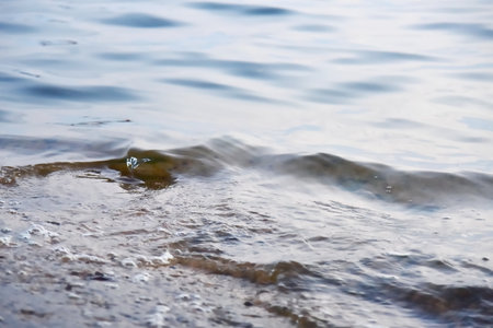 Water surface refreshment concept backgroundの写真素材