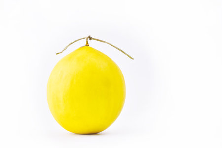 Melon fruit isolated on white backgroundの写真素材