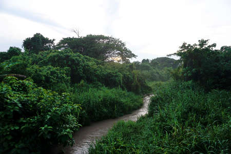 River at forest with sunset sky backgroundの写真素材