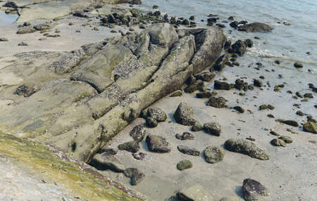 Big rock at beach, Nature backgroundの写真素材